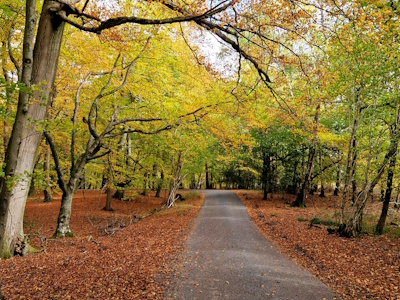 Image of route 1